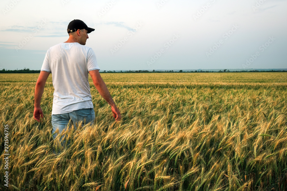 Male farmer standing in a wheat field during sunset. Man Enjoys Nature