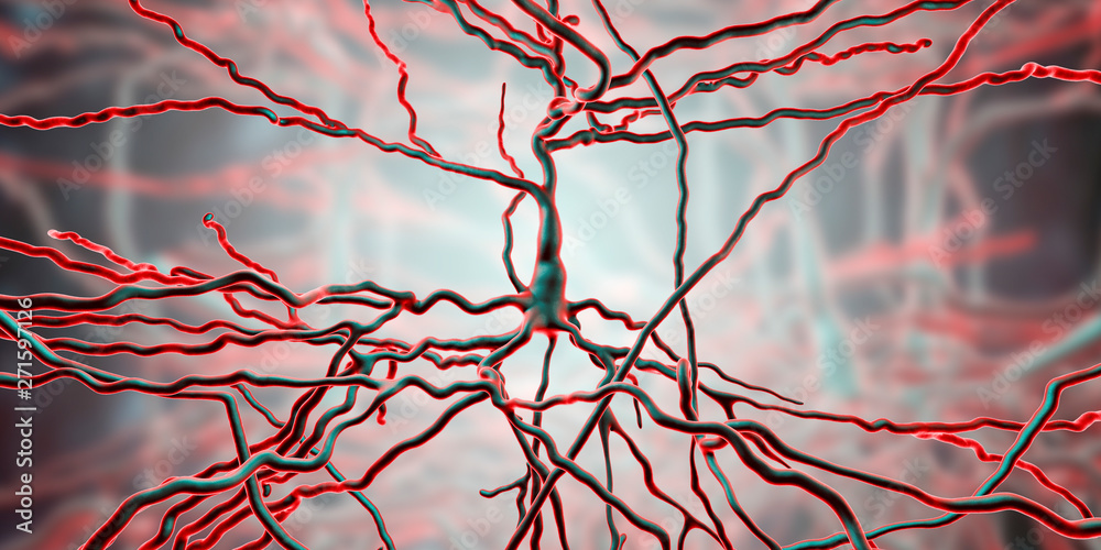 Pyramidal System Project Model Brain Pyramidal neurons, human brain cells, 3D illustration. Human nervous ...