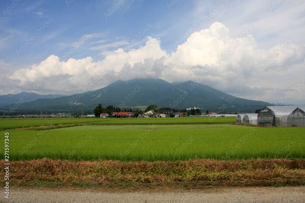 Obraz premium 田園