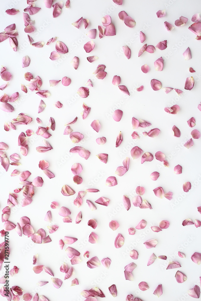 pink and red petals background / abstract aroma background, spa pink petals pink and red petals background / abstract aroma background, spa pink petals