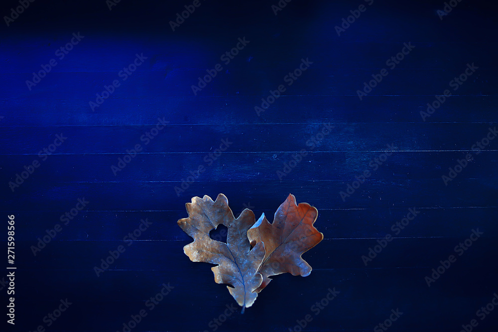 autumn heart on oak yellow leaf / heart symbol in autumn decoration, concept autumn love, walk in the park autumn heart on oak yellow leaf / heart symbol in autumn decoration, concept autumn love, walk in the park