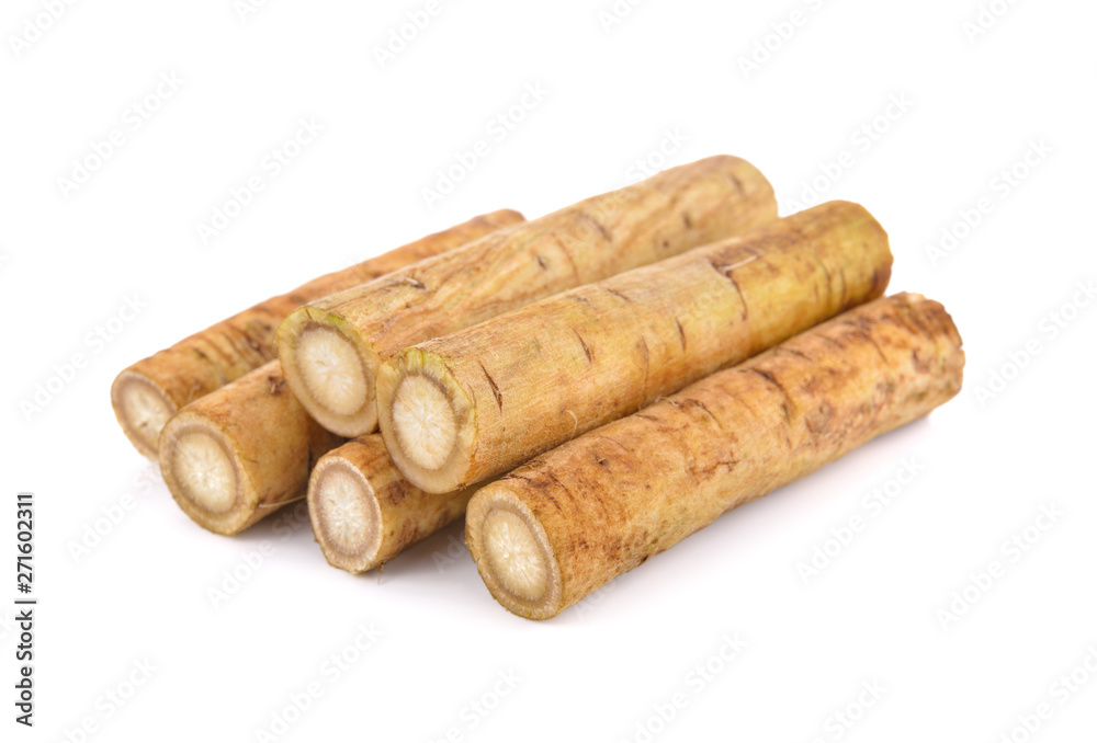 fresh burdock root or Gobo on white background fresh burdock root or Gobo on white background
