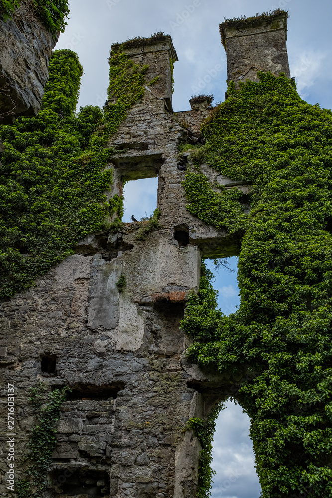 A view from inside this spectacular and magical ivy clad castle that has been left abandoned and left to the forces of nature, nobody in the image A view from inside this spectacular and magical ivy clad castle that has been left abandoned and left to the forces of nature, nobody in the image