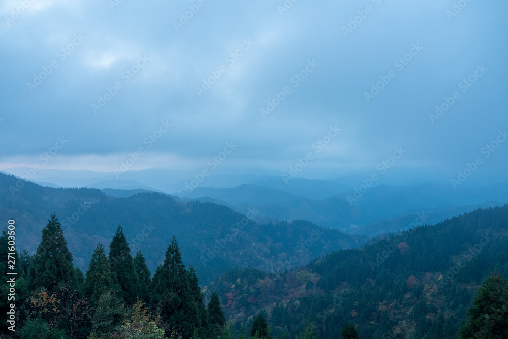 静かな朝の山の風景