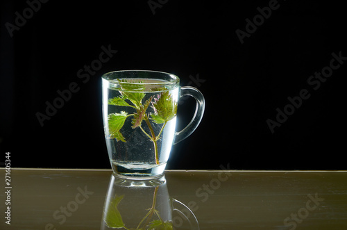 Cup of medicinal nettle tea on black background photo