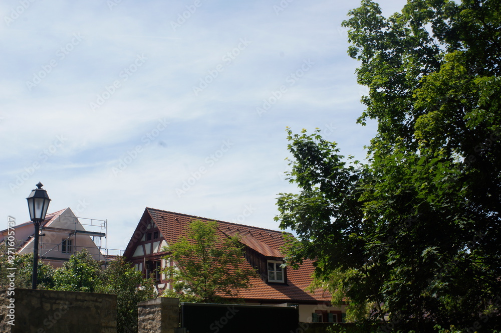 Obraz premium SONY DSC