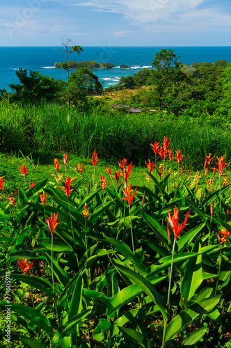 Bastimentos Island, Bastimentos National Marine Reserve, Bocas del Toro Archipelago, Bocas del Toro Province, Panama, Central America, America