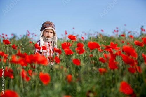 Sweet toddler baby boy, child playing with airplane in poppy fiead, beautiful sunny day