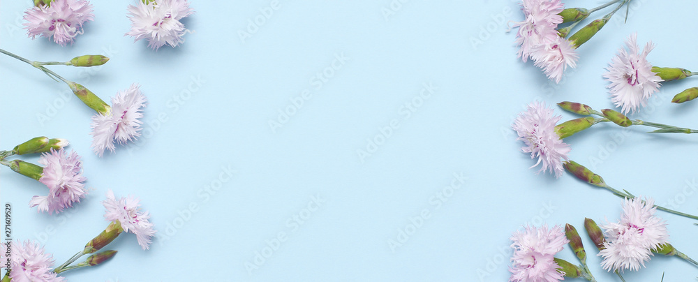 A branch with light pink carnations on textural blue paper. Spring background for design and decoration A branch with light pink carnations on textural blue paper. Spring background for design and decoration