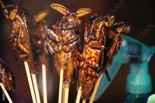 grilled insects