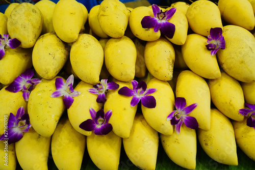 papaya