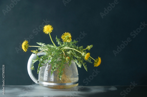 Dandelion with roots and leaves in a glass teapot on a dark background in smoke