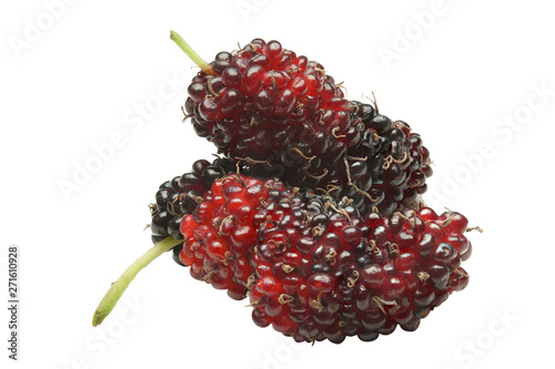 Close up of Mulberries fruit isolated on white background. This image stacked with clipping path for advertising. Organic fruit for good healthy concept. Shooting in studio for advertising.