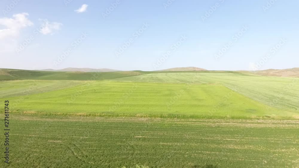 View of green meadows. blue sky and nature. aerial shot drone 4k View of green meadows. blue sky and nature. aerial shot drone 4k