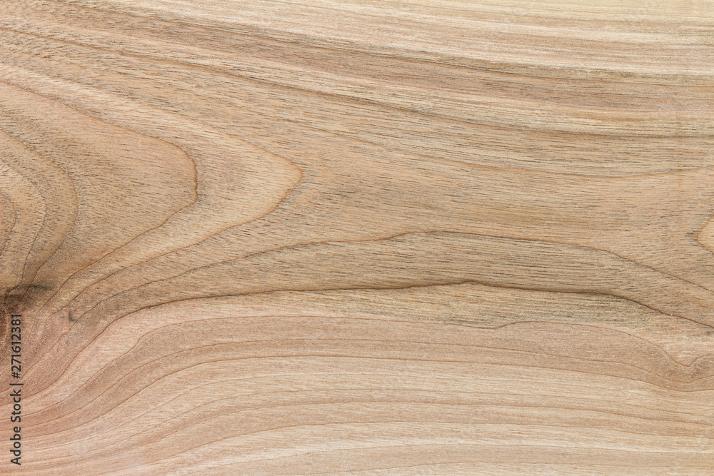 Wood texture background with natural pattern, close up view Wood texture background with natural pattern, close up view