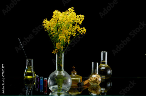 Fresh plant branches in medical flasks on black background