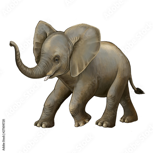 cartoon scene with little elephant on white background safari illustration for children