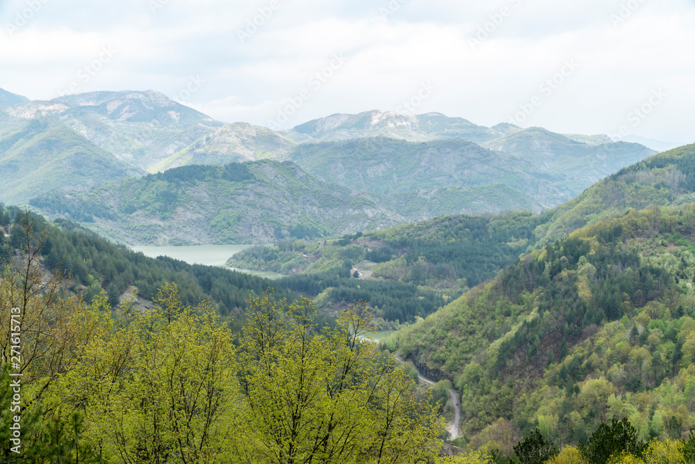 The wilderness near Borovitsa lake