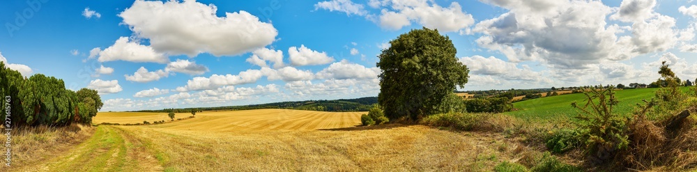 Landschaft Panorama Hintergrund mit Feld und Himmel