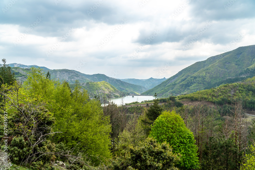 The wilderness near Borovitsa lake