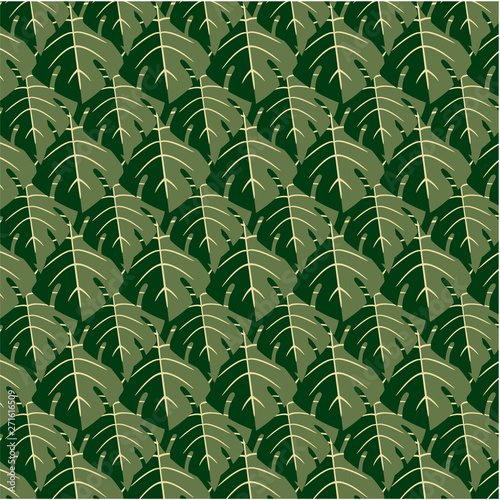 Tropic vector pattern - leaves of an exotic monstera plant close-up. Beautiful designer botany print