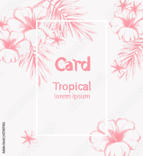 Tropic flowers summer background Vector line art. Vintage style. Pink colors