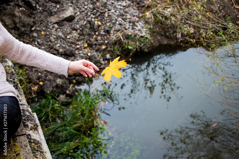 Naklejka premium Hand with yellow leaf above the water