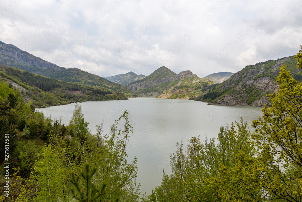 The wilderness near Borovitsa lake The wilderness near Borovitsa lake