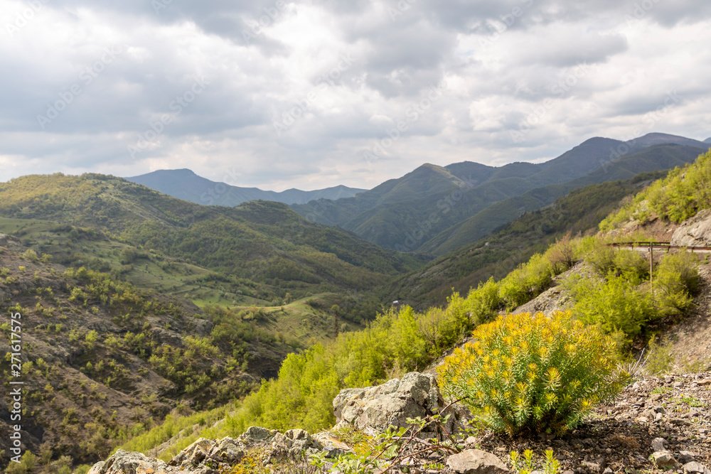 Fototapeta premium The wild nature of Rhodope mountain in Bulgaria