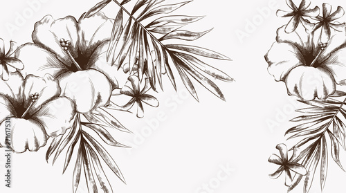 Tropic flowers summer background Vector line art. Vintage styles