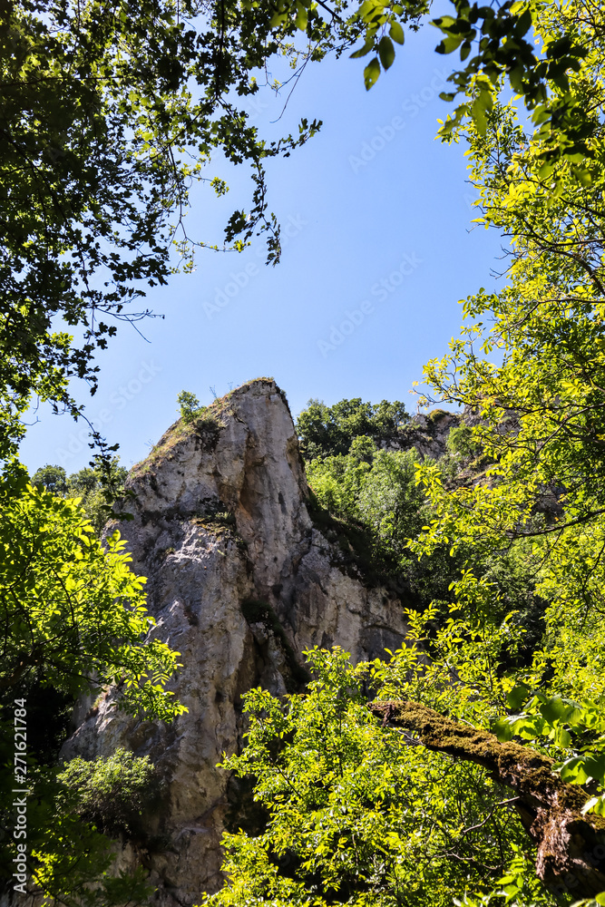 Mountain and forest by the Vratna river in Serbia