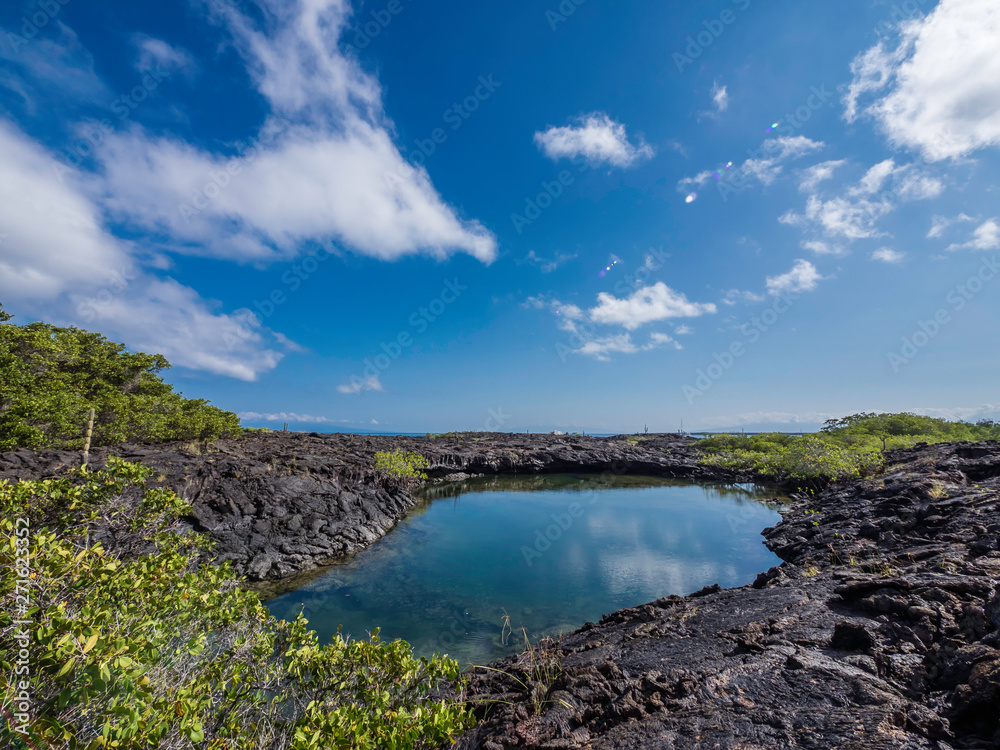 Beautiful shoreline scenery of Fernandina Island, Galapagos, Ecuador