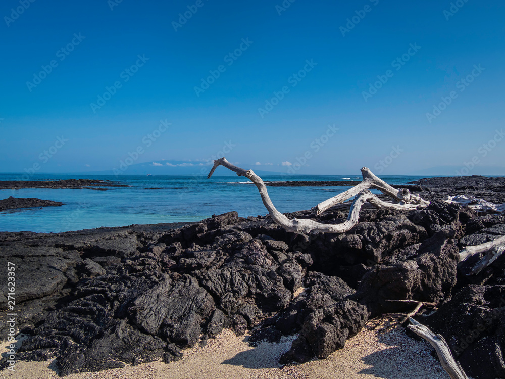 Beautiful volcanic landscape of Punta Moreno in Isabela Island, Galapagos, Ecuador