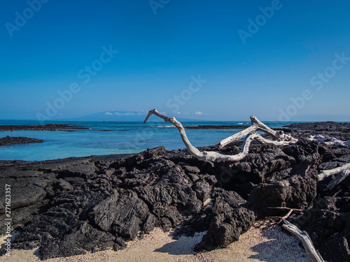 Obraz na płótnie Beautiful volcanic landscape of Punta Moreno in Isabela Island, Galapagos, Ecuador w salonie