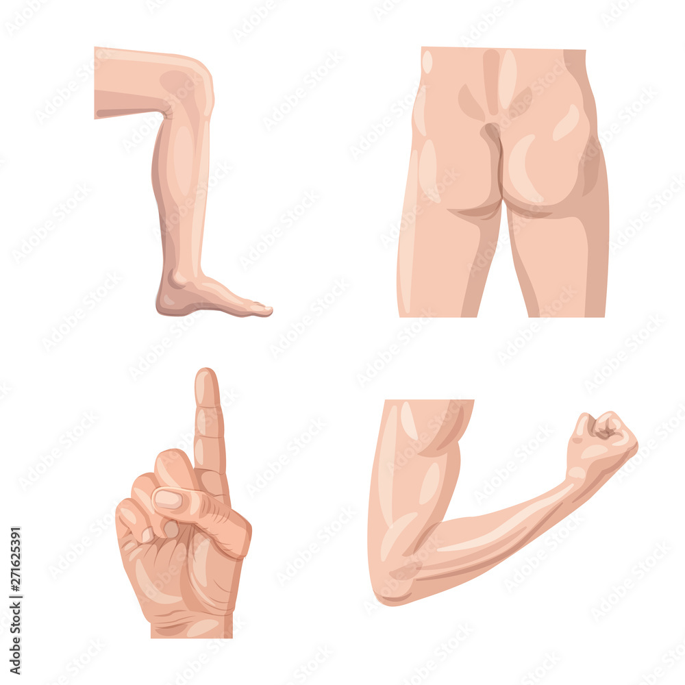 Vector illustration of human and part icon. Collection of human and woman stock symbol for web. Vector illustration of human and part icon. Collection of human and woman stock symbol for web.