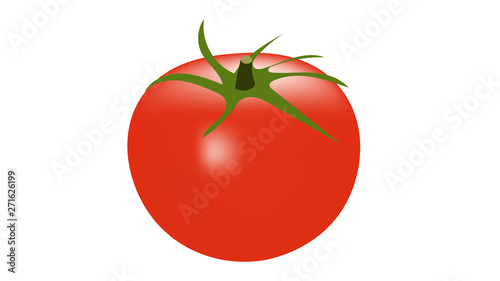 Ripe tomato isolated on white vector illustration