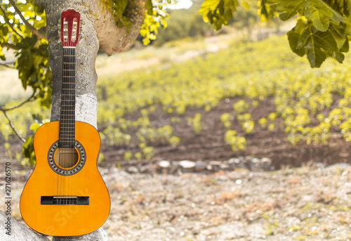 Guitar on a tree with blurred natural background of a meadow full of plants. Flamenco or andalusian concept with copy space right. Sunny day in field.