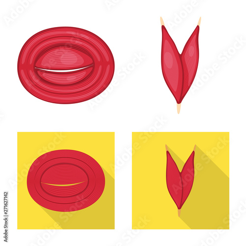 Isolated object of fiber and muscular sign. Collection of fiber and body  stock symbol for web.