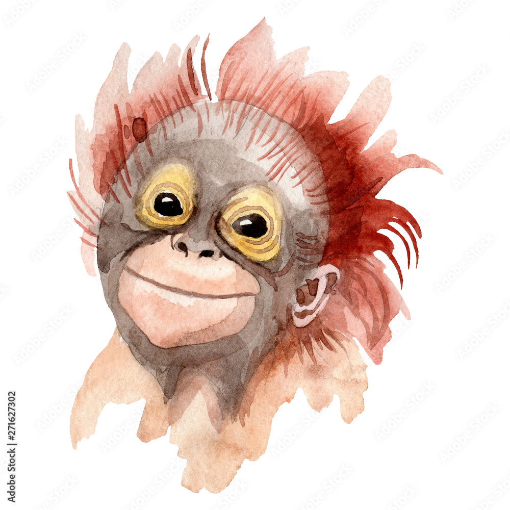Obraz premium Exotic monkey wild animal in a watercolor style isolated. Aquarelle wild animal for background.