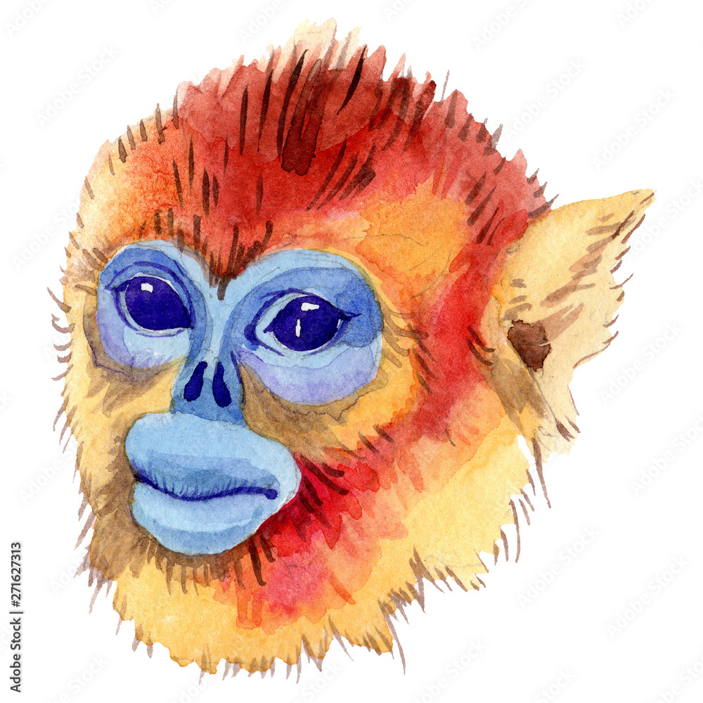 Fototapeta premium Exotic monkey wild animal in a watercolor style isolated. Aquarelle wild animal for background.