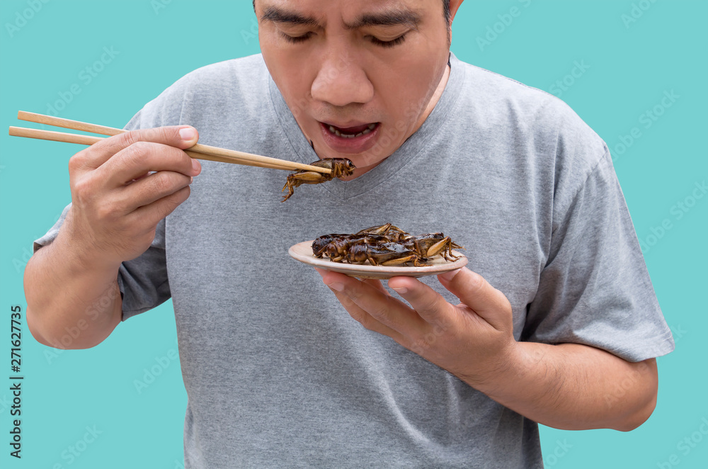Food Insects Man eating Cricket insect on chopsticks. Crickets deep