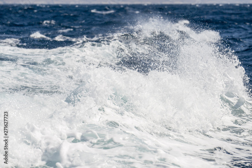 Waves with foaming spray crown on the sea