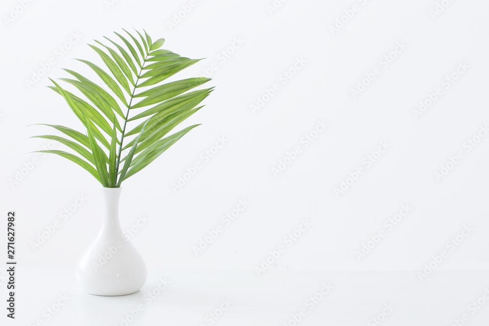 white vase with palm leaves on white background