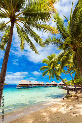 Widok na piaszczystą plażę z palmami, Bora Bora, Polinezja Francuska. Pionowy.