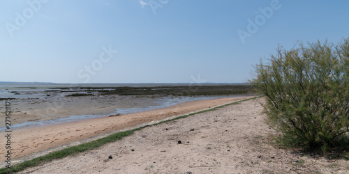 sea view in Cassy Lanton in Bassin d'Arcachon in France in web banner template photo