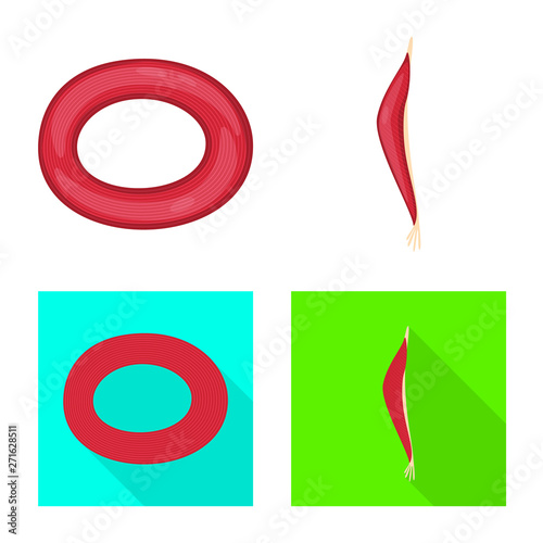 Vector illustration of fiber and muscular sign. Set of fiber and body stock symbol for web.
