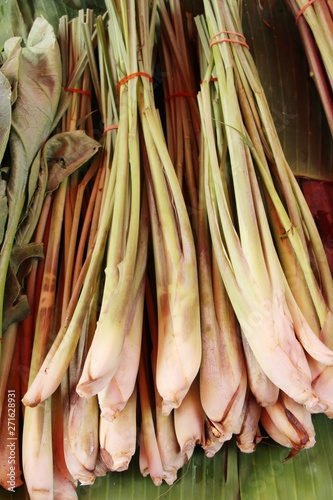 Fresh lemon grass for cooking in market