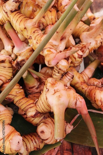 Fresh galangal for cooking in the market
