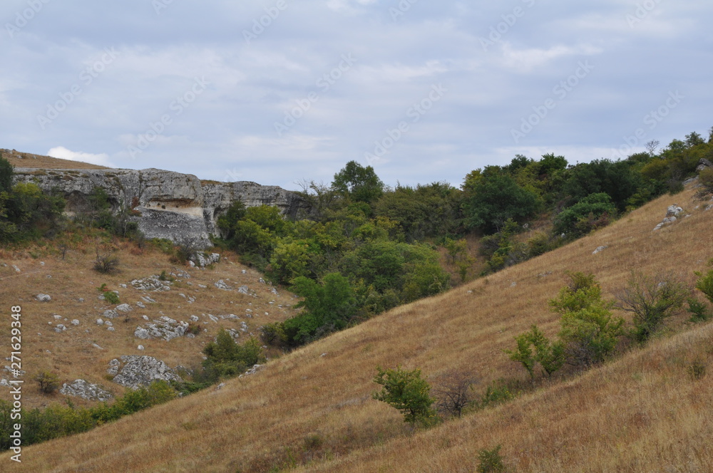 Naklejka premium yellow hills in the wild steppe