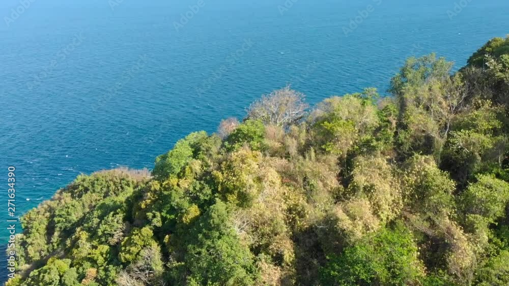 Aerial drone reveal shot starting with a tropical tree covered coast revealing the sea and a volcanic mountain in the background Aerial drone reveal shot starting with a tropical tree covered coast revealing the sea and a volcanic mountain in the background